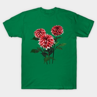 Dahlia Santa Claus T-Shirt